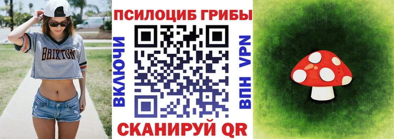 Псилоцибиновые грибы Psilocybine cubensis  Кропоткин 